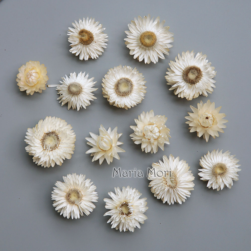 Natural Dried Colorful Chrysan - огляд і ціна Candle Making Supplies