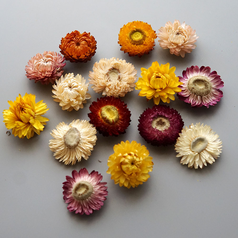 Natural Dried Colorful Chrysan - огляд і ціна Candle Making Supplies