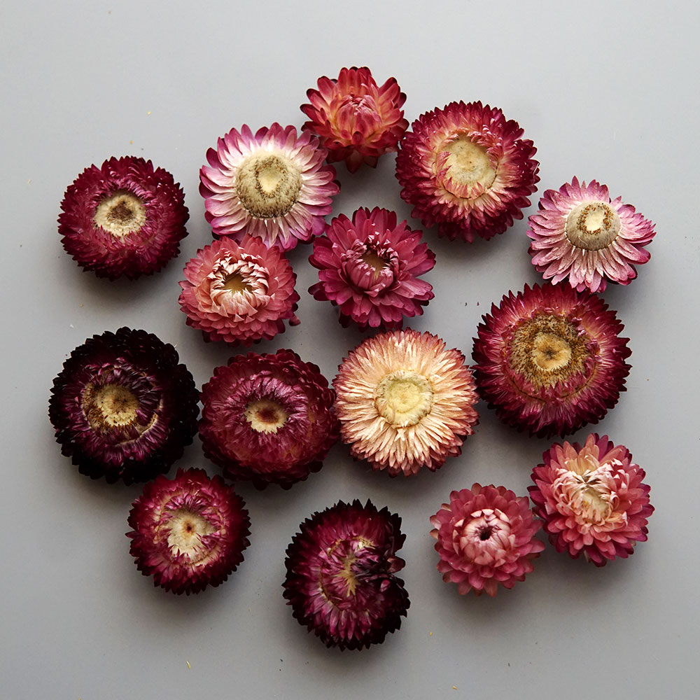 Natural Dried Colorful Chrysan - огляд і ціна Candle Making Supplies
