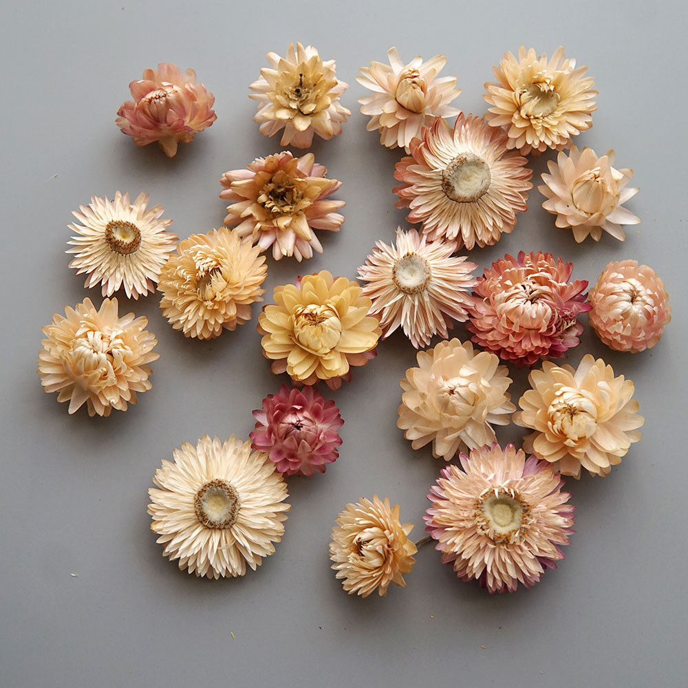 Natural Dried Colorful Chrysan - огляд і ціна Candle Making Supplies