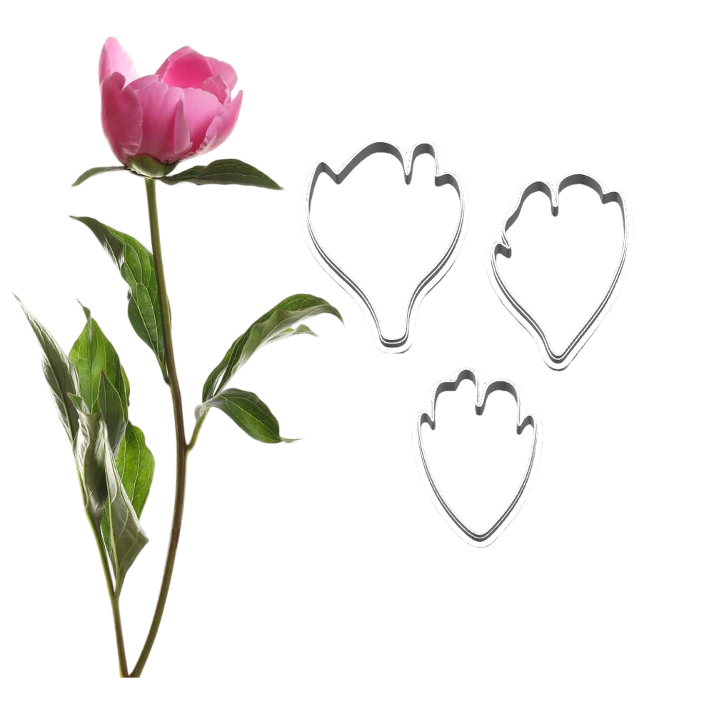 New Peony Silicone Molds&Cutte - огляд і ціна Candle Making Workshop