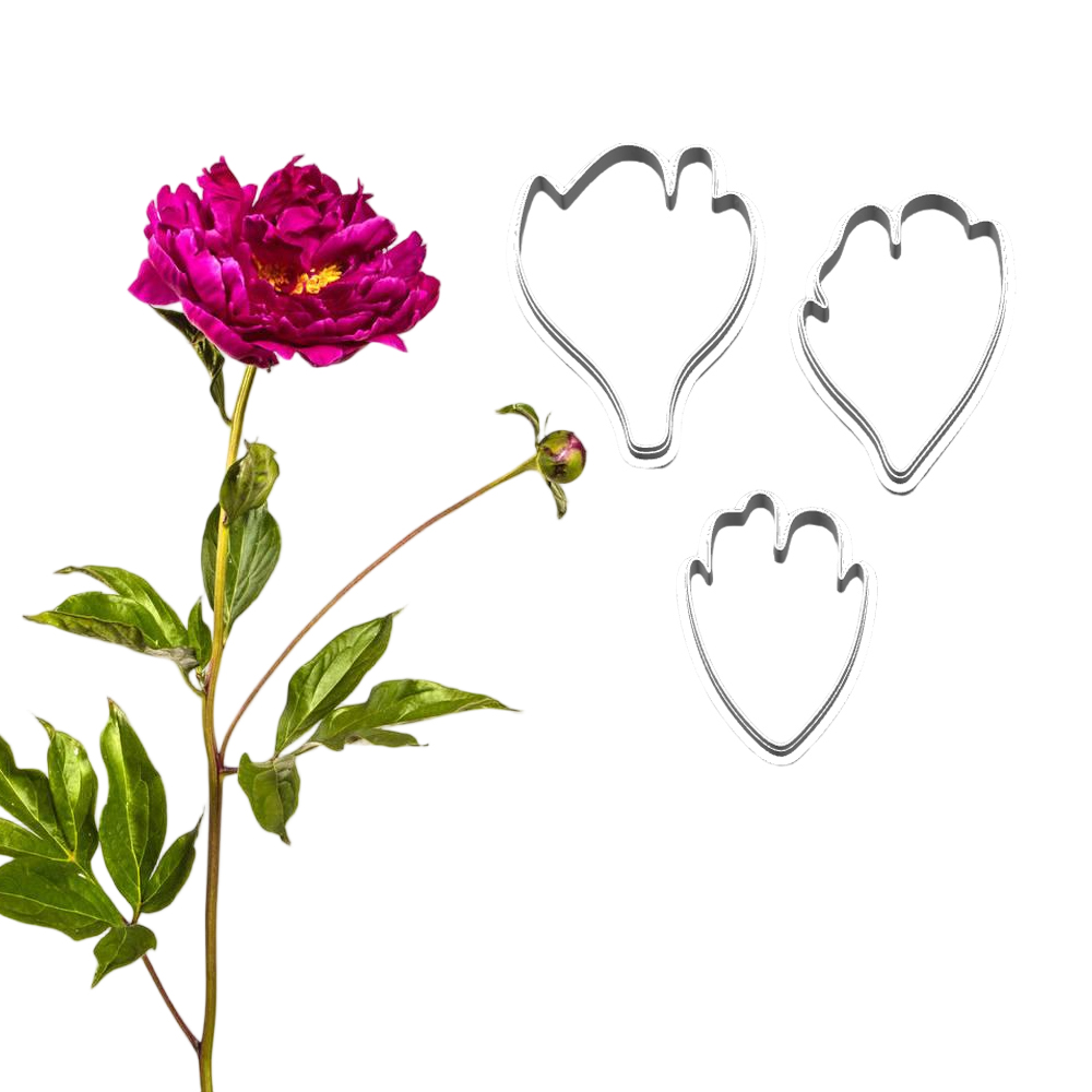 New Peony Silicone Molds&Cutte - огляд і ціна Candle Making Workshop
