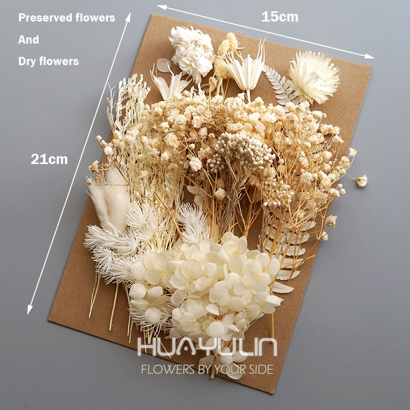1 Pack Artificial Plants Dried - огляд і ціна Candle Making Supplies